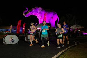 BIB: 
                            <button type="button" onclick="openModal(26535232)" class="btn btn-primary btn-sm float-right btn-popup" data-toggle="modal" data-target=".modal-high-quality">
                        <i class="fas fa-shopping-cart"></i> Add to Cart
                    </button>
                                            <button type="button" onclick="isThisMe(26535232, true)" class="btn btn-success btn-sm float-right btn-popup btn-isme hidden" data-toggle="tooltip" data-placement="bottom" title="นี่คือรูปของคุณใช่ไหม คลิกที่นี่เพื่อเอาเข้าอัลบั้ม">
                        <i class="fas fa-plus"></i> Add to album
                    </button>
                    <button type="button" onclick="isThisMe(26535232, false)" class="btn btn-warning btn-sm float-right btn-popup btn-isnotme hidden">
                        <i class="fas fa-ban"></i> Remove from album
                    </button>